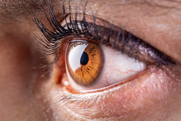 The eye of a latin woman closeup macro
