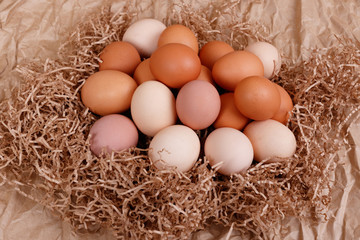 Village eggs. Kraft paper background