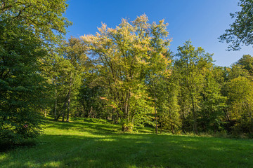 Fototapeta premium Beautiful green nature landscape of Europe