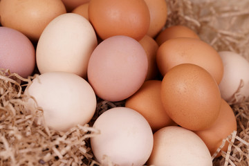 Village eggs. Kraft paper background