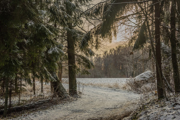 Beautiful green nature landscape of Europe