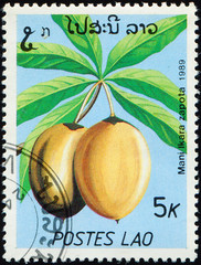 LAOS - CIRCA 1989: stamp 5 Laotian kip printed by Lao People's Democratic Republic, shows fruiting...