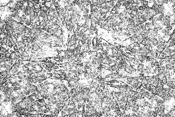 Random black-white fractal pattern. Abstract fractal shapes. Suitable for wallpapers and posters, web, cards, etc.