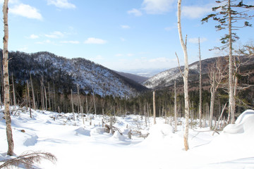 Sakhalin