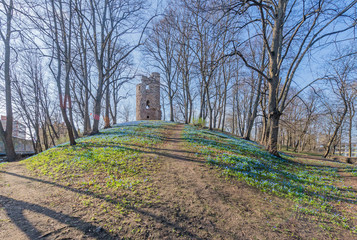 Beautiful green nature landscape of Europe