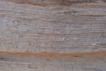 Fototapeta premium Old wood texture background