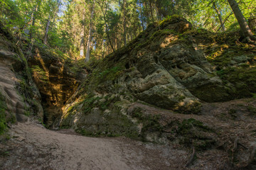 Beautiful green nature landscape of Europe