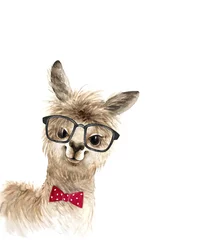 Foto auf Alu-Dibond alpaca cute animal in black glasses and a red bow tie, watercolor illustration on white background © Lana