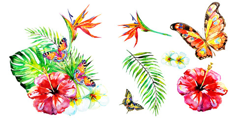 beautiful tropical palm leaves and flowers, watercolor