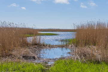 Beautiful green nature landscape of Europe