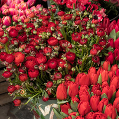 variety of colors near the Liberty store in London. Large bouquets in tin vases.