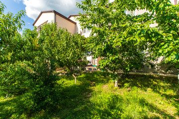 The backyard of the cottage is full of fruit trees and green grass on a bright Sunny day. you can...
