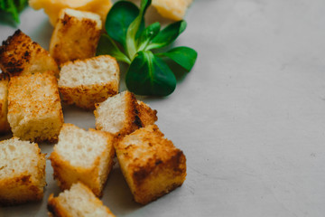 Caesar salad ingredients on a light background