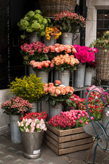 variety of colors near the Liberty store in London. Large bouquets in tin vases.