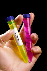 Yellow and pink glowing liquids in the test tube with text VIRUS holding by doctor isolated on the...
