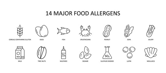 14 major food allergens icon. Vector set of 14 icons with editable stroke. Collection includes gluten, fish, egg, crustacean, peanut, lupin, soya, milk, trees nuts, mustard, sesame, sulphur dioxide. - obrazy, fototapety, plakaty