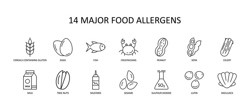 14 major food allergens icon. Vector set of 14 icons with editable stroke. Collection includes gluten, fish, egg, crustacean, peanut, lupin, soya, milk, trees nuts, mustard, sesame, sulphur dioxide.