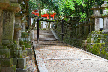 Fototapeta na wymiar A Old Street with tree and stairs in Nara, Japan