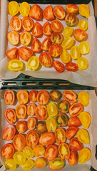 yellow and red tomatoes