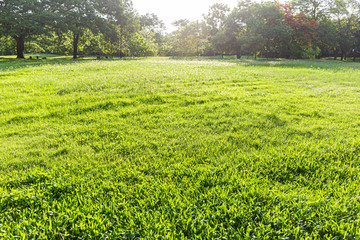 Landscap and sunrise in park