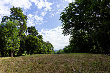 Blue sky and cloud in park