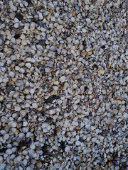 pebbles on the beach