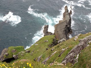 Klippe von oben Irland