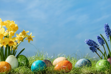 Hyacinth and narcissus flower with easter eggs in spring grass with sky