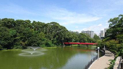 Fototapeta premium Park