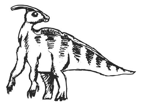 black and white parasaurolophus sketch clip art preview