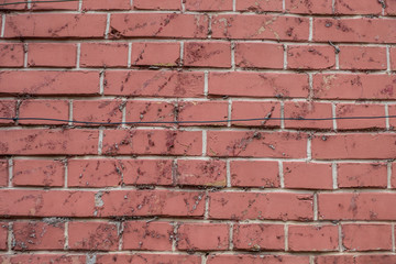 Obraz premium Gebäudeschäden durch wild wachsendes Efeu