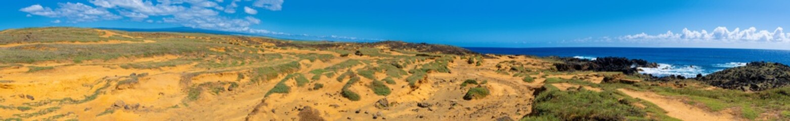 Fototapeta na wymiar Panoramic view of green sand beach trail along the coastline in Big Island Hawaii