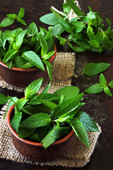Fresh mint leaves in bowls. Copy space.