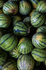 Fototapeta na wymiar Wassermelonen