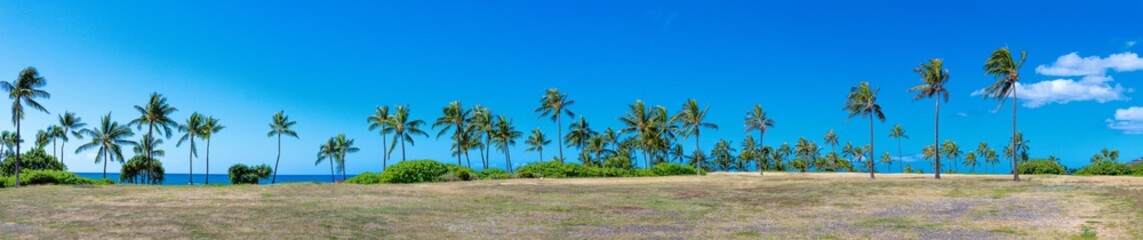 Fototapeta na wymiar Panoramic view of palms in Ko'Olina Oahu Hawaii 