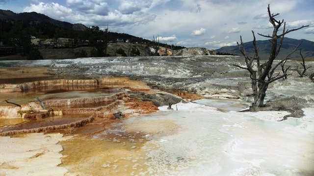 yellowstone gaiser