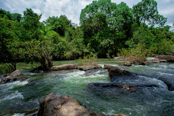 Malaysia, Southeast Asia, Tioman Island, Adventure, Animal Wildlife