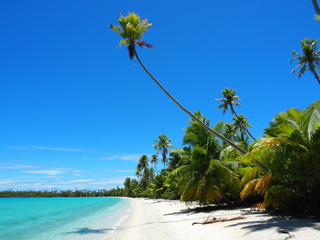French Polynesia - Fakarava: Lonely Beach