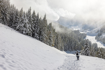 Winterlicher Wanderweg