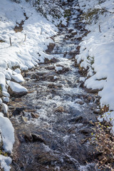 Wildbach auf dem Klausberg im Ahrntal