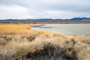 Frenchy Lake at Key Pittman Wildlife Management Area. A large wetland, biriding , and hunting area...