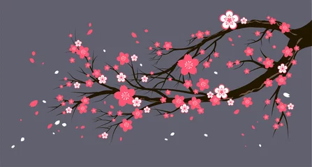 Saisonkirschbaum mit Blumen © paprika