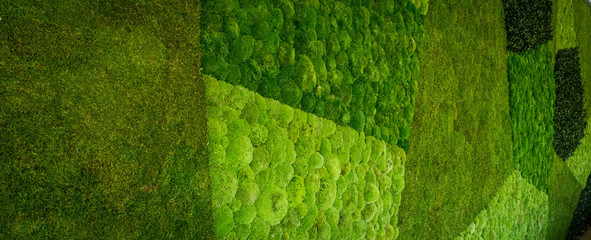 living moss wall abstract