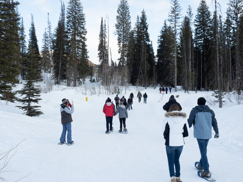 people snowshoeing up hill