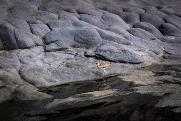 Black rock formations the phenomenon of nature from the frozen lava in the form of pentagons. 