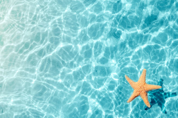 Starfish on the summer beach in sea water. Summer background.