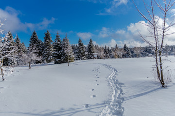 Erste kleine Winterwanderung entlang des Rennsteigs durch den Thüringer Wald -...