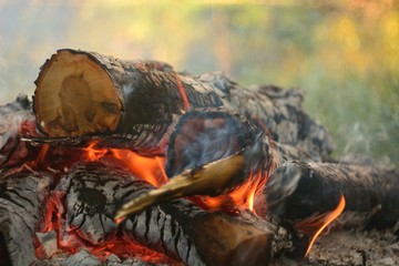 bonfire wood fire flame sparks