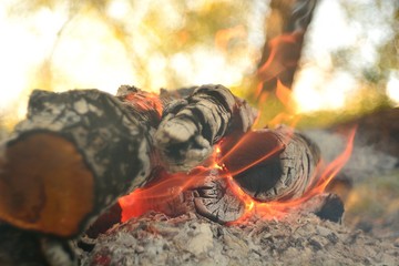 bonfire wood fire flame sparks