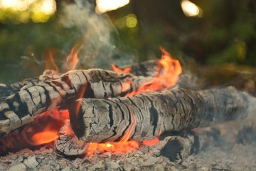 bonfire wood fire flame sparks